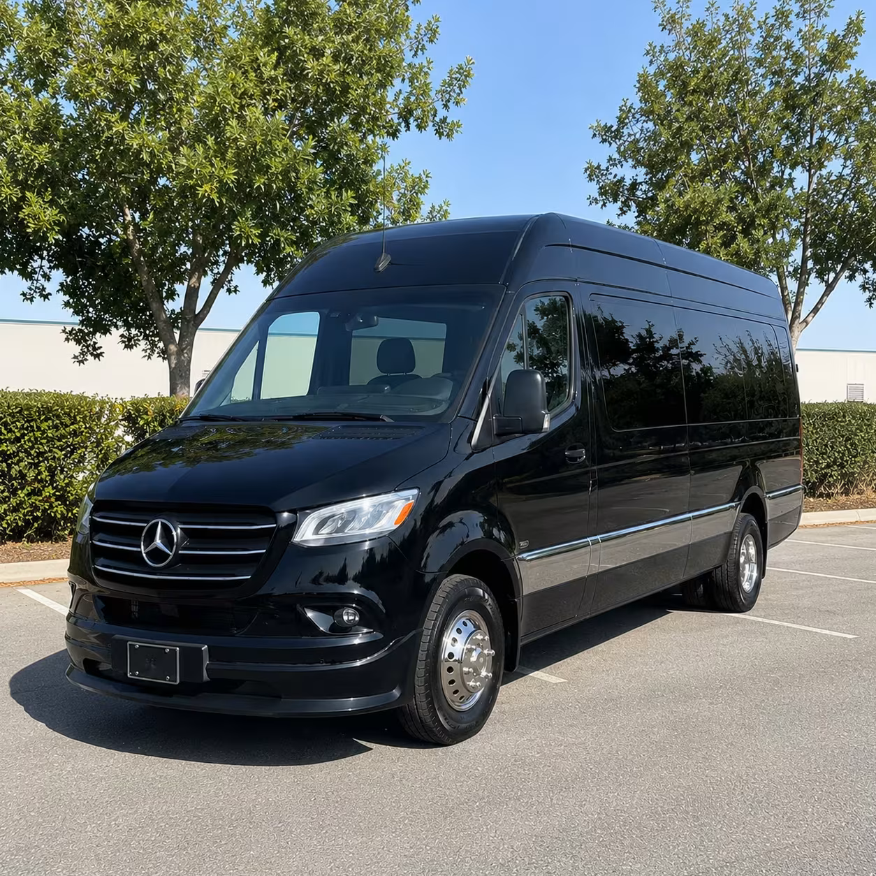 sprinter van with driver